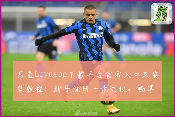 乐鱼Leyuapp下载平台官方入口及安装教程：新手注册一步到位，畅享便捷体验