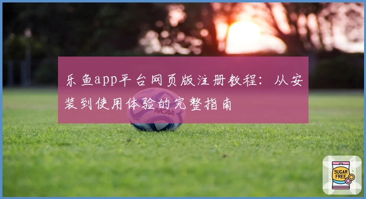 乐鱼app平台网页版注册教程：从安装到使用体验的完整指南