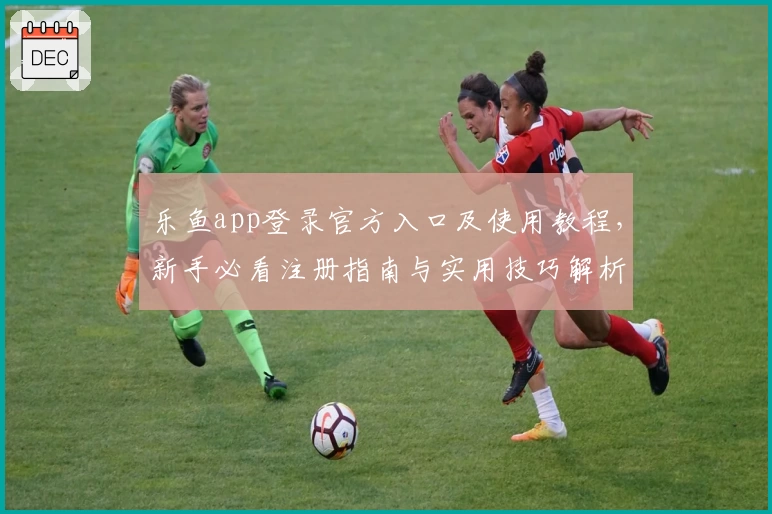 乐鱼app登录官方入口及使用教程，新手必看注册指南与实用技巧解析